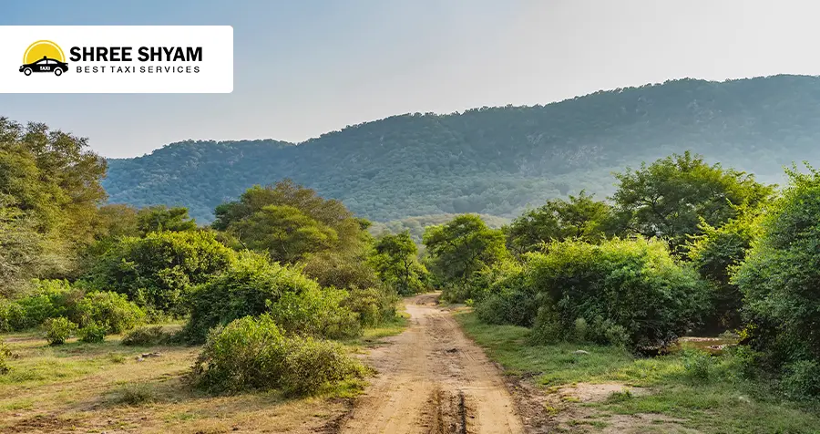 Sariska Tiger Reserve Tour